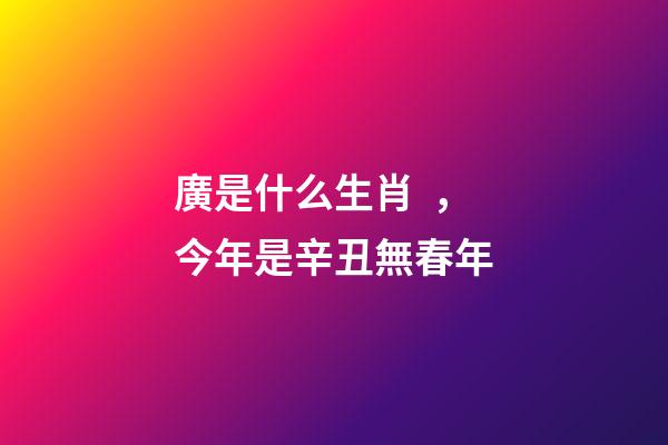廣是什么生肖，今年是辛丑無春年-第1張-觀點-玄機派